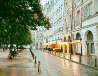 Paris in Chesnut Blossom Pink Fine Art Print