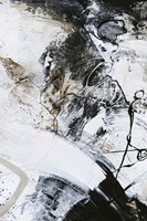 Black and White 1 Fine Art Print