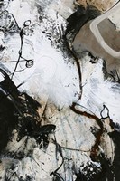 Black and White 3 Fine Art Print