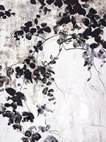 Black Leaves Fine Art Print