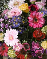 Dark Blossom Fine Art Print