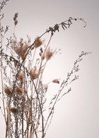 Everlasting Fine Art Print