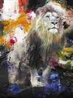 Lion Fine Art Print