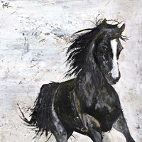 Wild Horse 1 Fine Art Print
