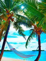 Coconut Sun Fine Art Print