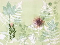 A Myriad Celebration of Plants Fine Art Print
