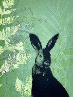 Cheeky Rabbit Fine Art Print