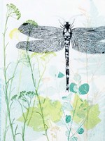 Dragonfly And The Healing Plant Fine Art Print