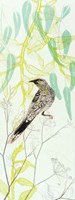 Eager To Fly Wattlebird Fine Art Print