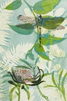 The Elusive Dragonfly and Waratah Fine Art Print