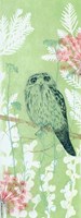 The Tranquil Tawny Frog Mouth Fine Art Print