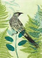 Wattlebird Hiding in the Fernery Fine Art Print