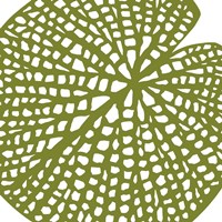 Lilypad Fine Art Print