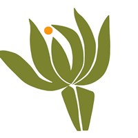 Protea Fine Art Print