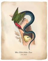 Slithertweet Fine Art Print