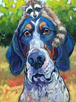 Coonhound Fine Art Print