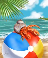 Beach Friends - Hermit Crab Fine Art Print
