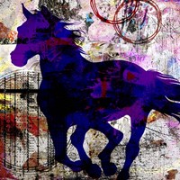 My Painted Pony 1 Fine Art Print