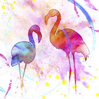 Painted Pink Flamingo Framed Print