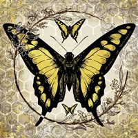 Honey Bee Butterfly 4 Fine Art Print
