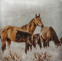 Wild Horses of the Great Basin Lomography 2 Fine Art Print