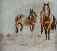 Wild Horses of the Great Basin Lomography 3 Fine Art Print