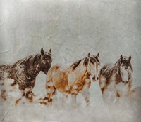 Wild Horses of the Great Basin Lomography 4 Fine Art Print