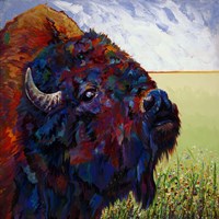 Buttercup Fine Art Print