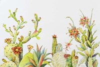 Cactus Clan Fine Art Print