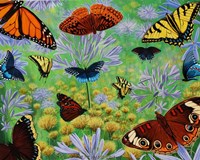 Butterfly Bonanza Fine Art Print