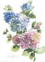 Flower Series 14 Fine Art Print