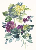 Flower Series 23 Fine Art Print