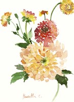 Flower Series 33 Fine Art Print