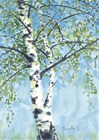 Aspen Tree 1 Fine Art Print