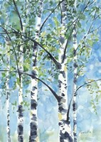 Aspen Tree 2 Fine Art Print
