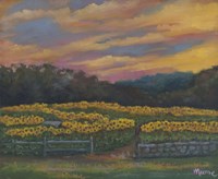 Buttonwoods Sunset Fine Art Print