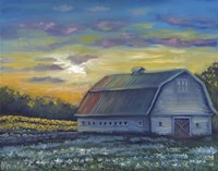 Floral Sunrise Fine Art Print