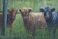 Windswept Fine Art Print