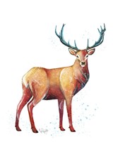 Woodlands- Stag with Blue Antlers Fine Art Print
