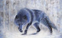 Wolf Fine Art Print