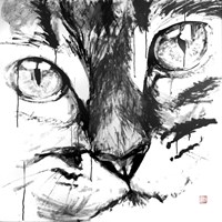 Cat Face Fine Art Print