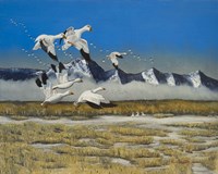 Sow Geese Spring Flight Fine Art Print