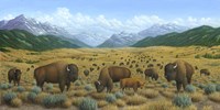 The Bison Trail Fine Art Print