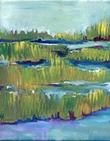 Marsh Fine Art Print