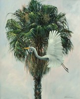 The Cabbage Palm Fine Art Print