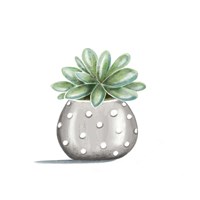 Polka Dot Succulent Fine Art Print