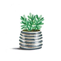 Striped Succulent Fine Art Print