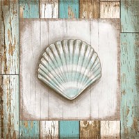 Shell Fine Art Print