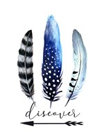 Discover Fine Art Print