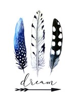 Dream Big Fine Art Print